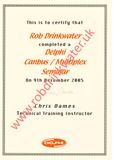 Delphi CANBUS Certificate