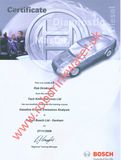 VSG17 Bosch Gasoline Emissions Analysis Certificate